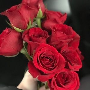 Meet your Posher, Brenda